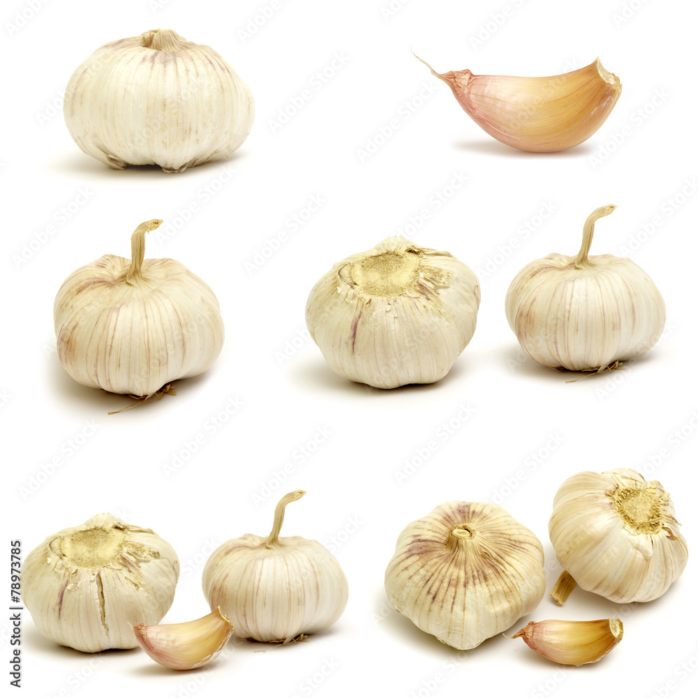Fototapeta premium Collections of Garlic isolated on white background