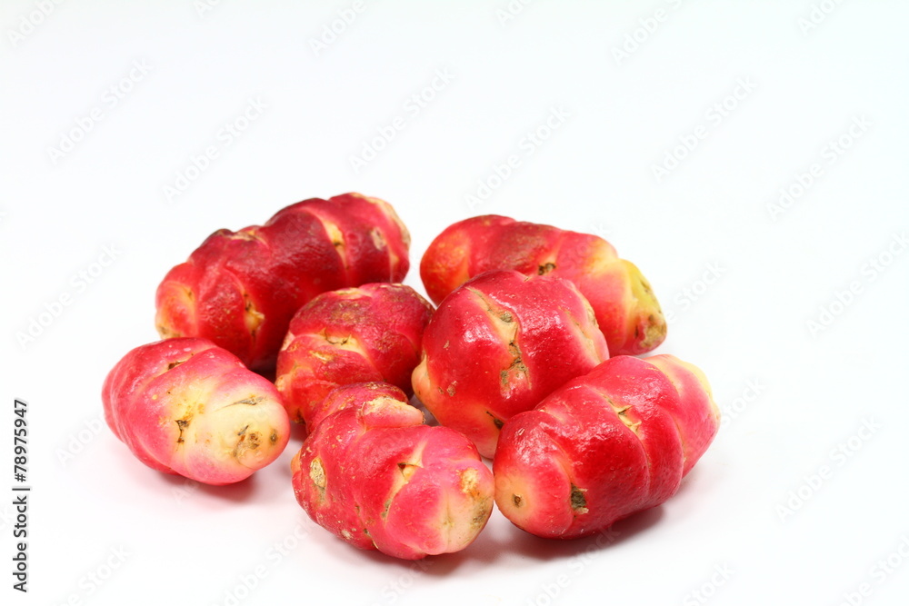 oca