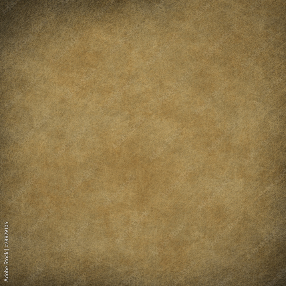 Fototapeta premium grunge wall, highly detailed textured background