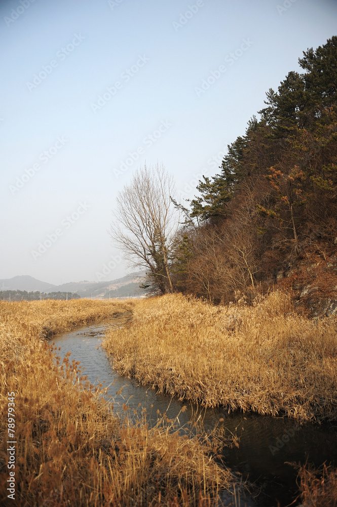 Fototapeta premium 풍경이미지