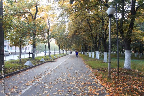 Fototapeta Naklejka Na Ścianę i Meble -  yellow leaves on an asphalt blurred urban background autumn