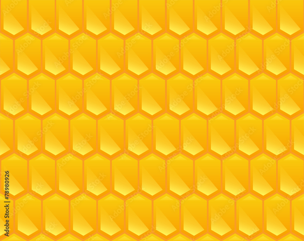 Pattern texture of Corn Pattern texture of Corn
