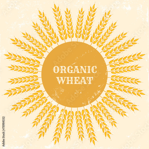 organic wheat