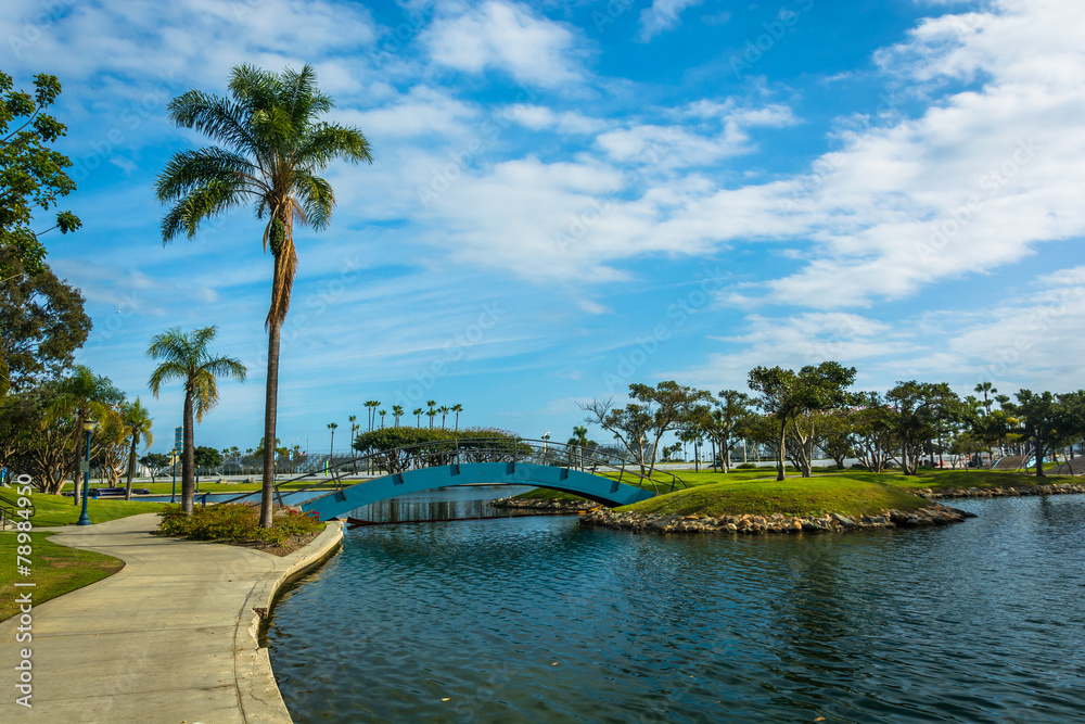 Palm tree and bridge at Rainbow Lagoon Park in Long Beach, Calif