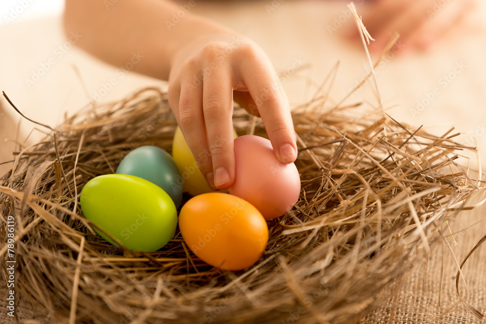 Fototapeta premium Child taking painted Easter egg from the nest