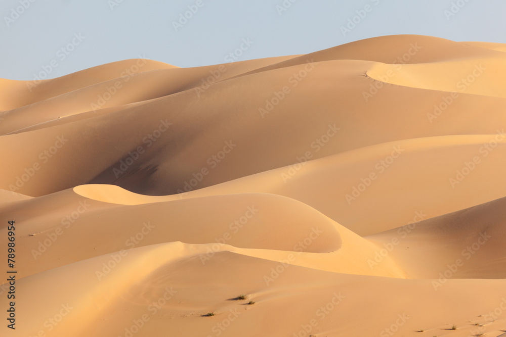 Fototapeta premium Dunes in the Empty Quarter desert. Abu Dhabi, UAE