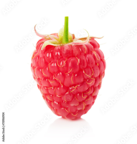 raspberry isolated on the white background