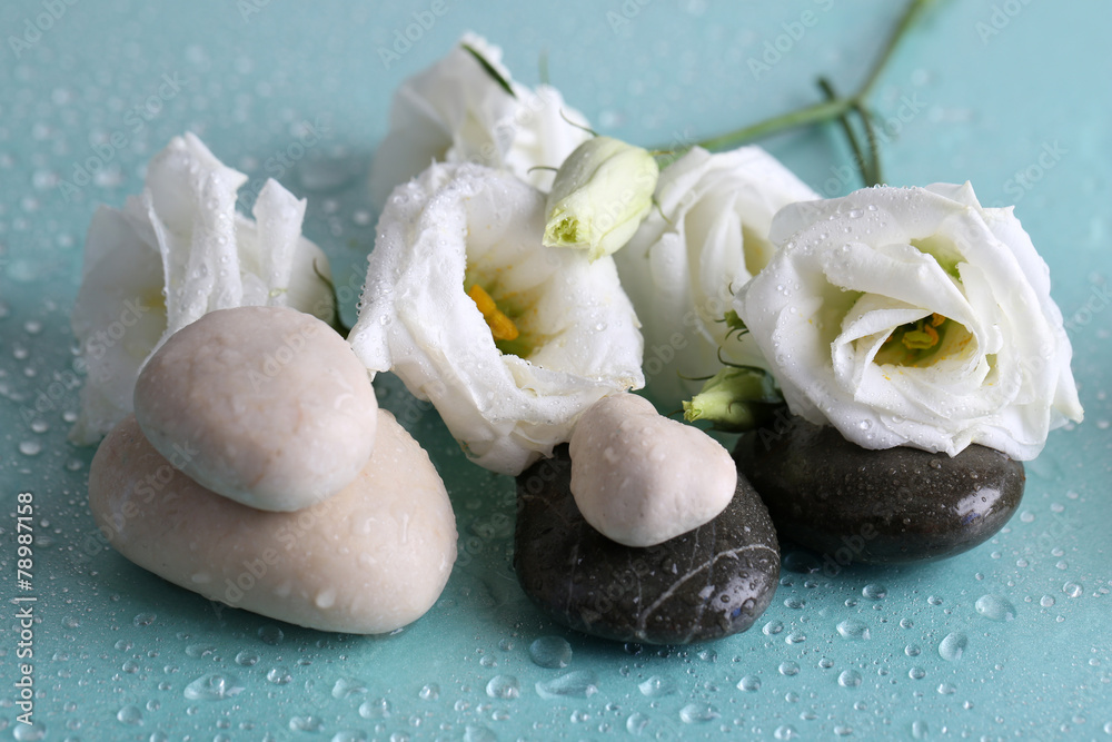 Fototapeta premium Spa stones with drops and flowers on blue background close-up