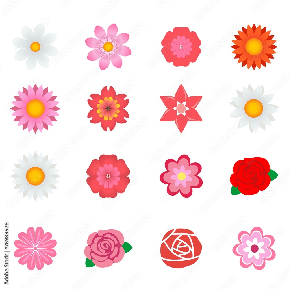 Types of Flowers