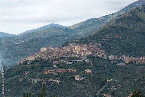 Roccagorga vista da Maenza photo