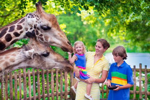 Family feeding giraffe in a zoo photo