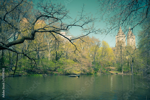 Vintage Tone Central Park NYC