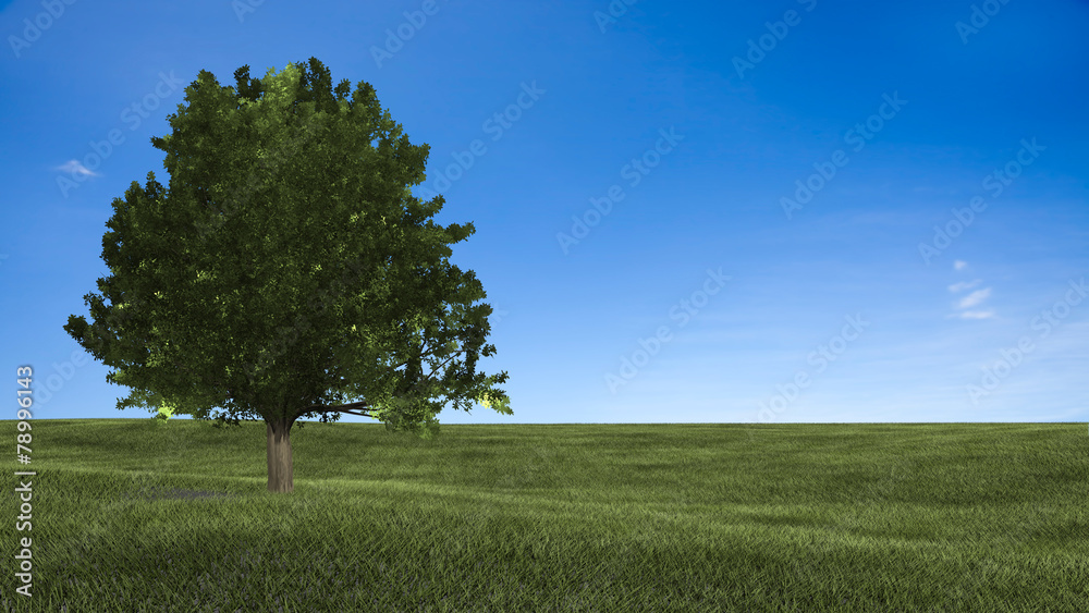 Obraz premium Bright sunset over green field