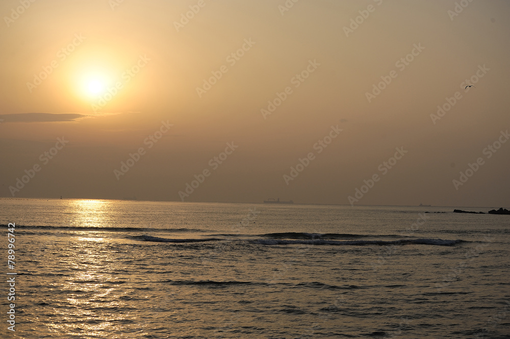 Fototapeta premium 자연풍경이미지