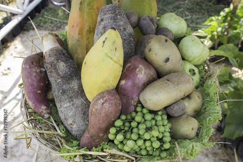 Fruits  vegetables and herbs  Thailand