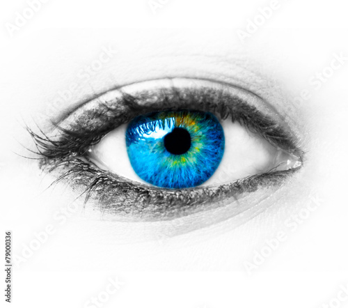 Blue woman eye extreme macro shot