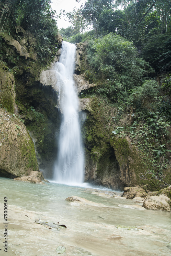 Fototapeta premium 자연이미지