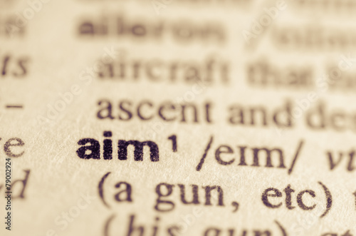 Dictionary definition of word aim