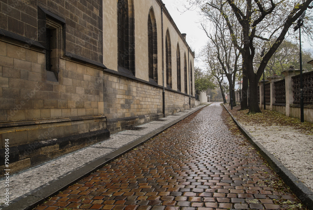 Paved road in the Prague