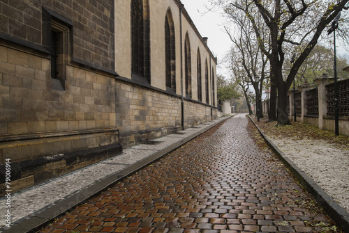 Paved road in the Prague © zest_marina