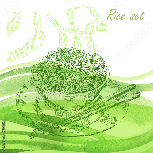 Rise set. Hand drawn plate with rise porridge