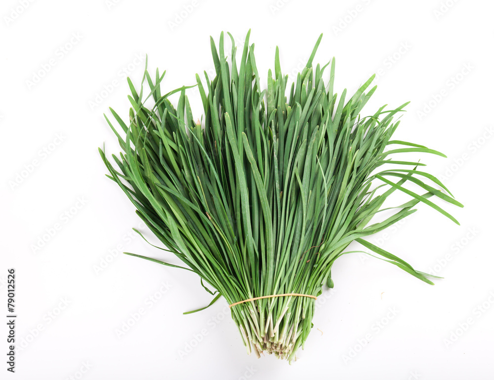 Garlic chives