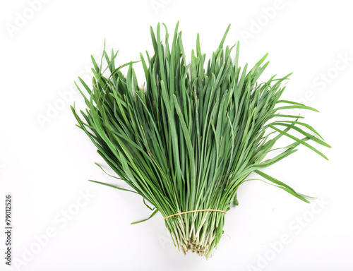 Obraz na płótnie Garlic chives w salonie