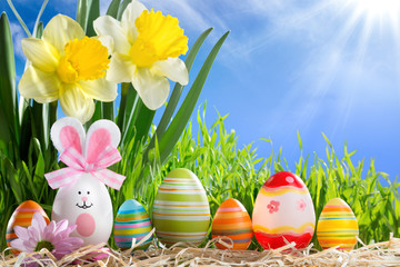 eggs easter in row on straw with narcissus