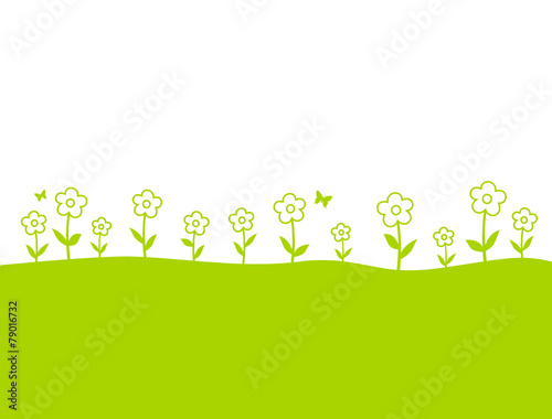 Blumenwiese
