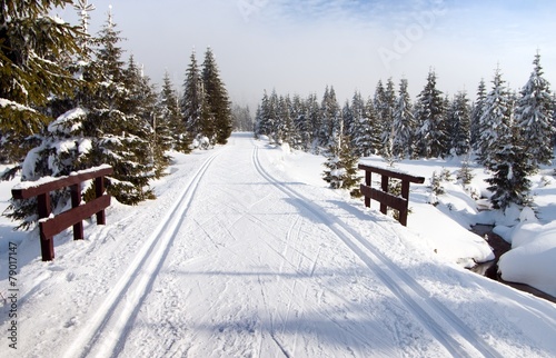 wintry landscape with modified cross country skiing way