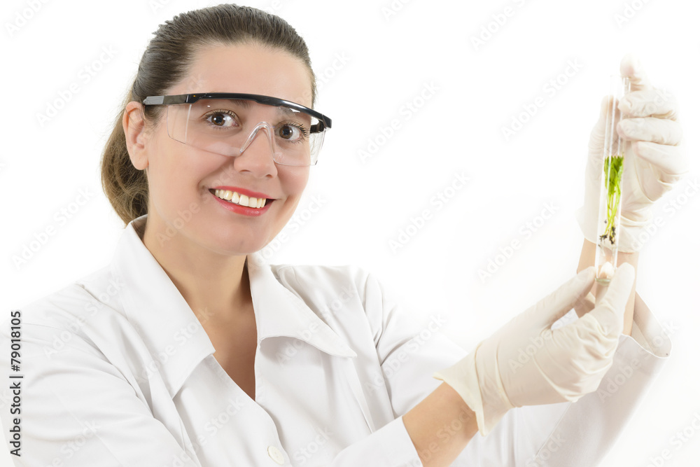 Woman Studying Plants in Laboratory Woman Studying Plants in Laboratory