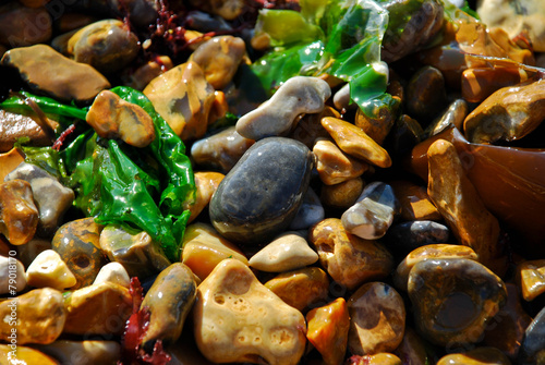 Fototapeta Naklejka Na Ścianę i Meble -  Wet beach pebbles on the Isle of Wight in the daylight Sun