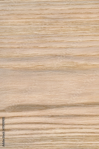 Natural Oak Wood Veneer Grunge Texture Sample
