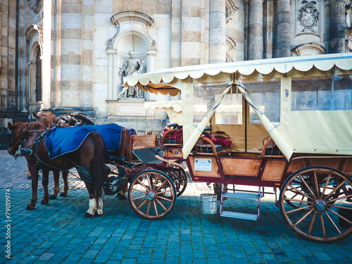 Wagon with horses stand in European city