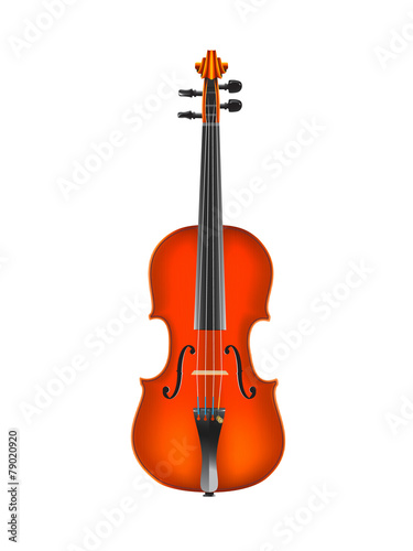 Violin