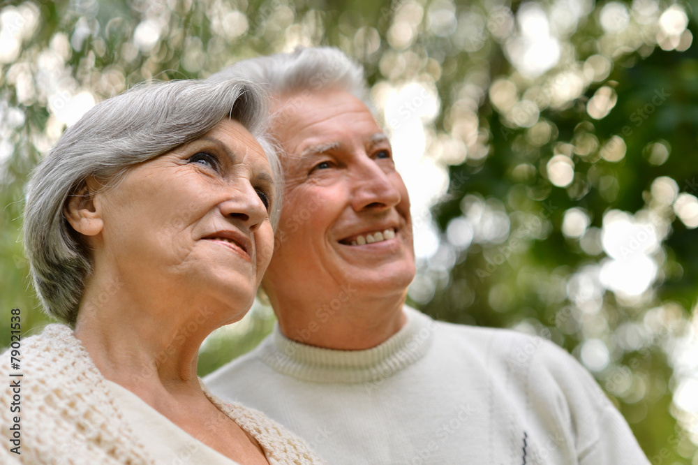 happy elder couple happy elder couple