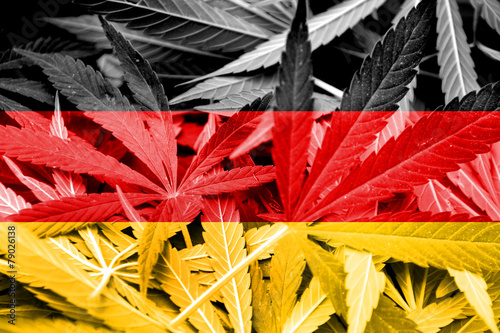 Germany Flag on cannabis background. Drug policy