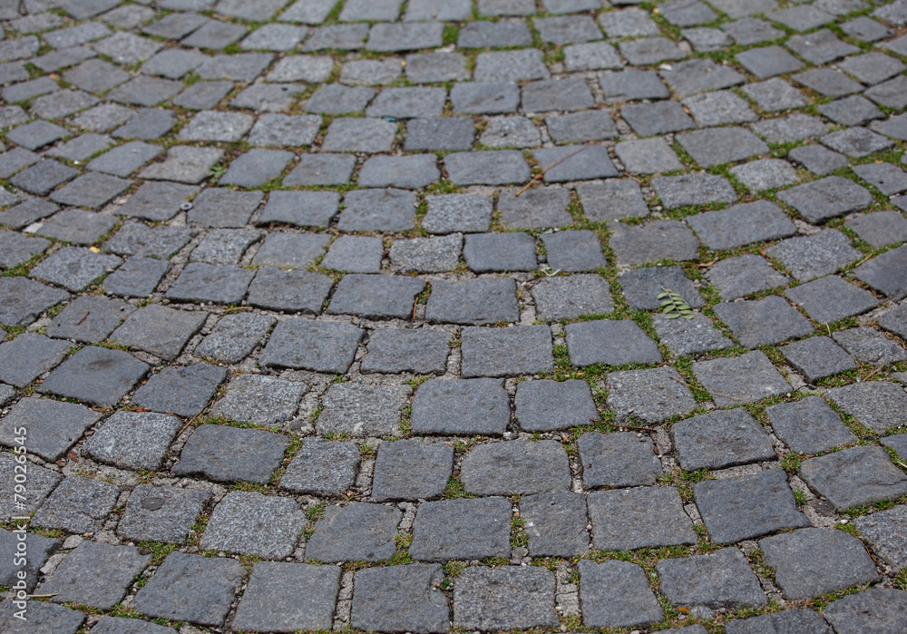 Fototapeta premium Stone paving background