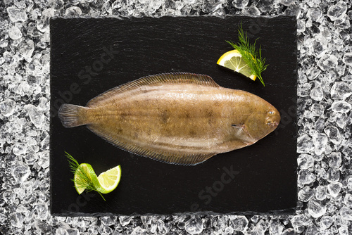 Sole fish on ice on a black stone plate top view photo