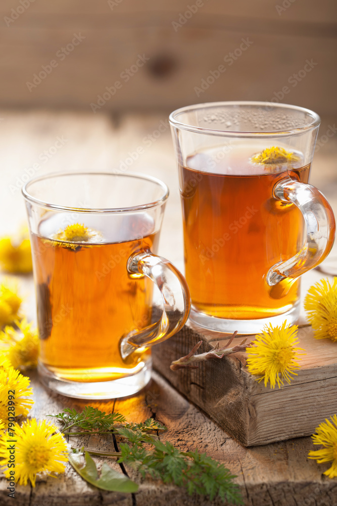 herbal tea with coltsfoot flowers herbal tea with coltsfoot flowers
