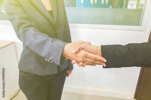 Two Businesswomen Shaking Hands In Office.