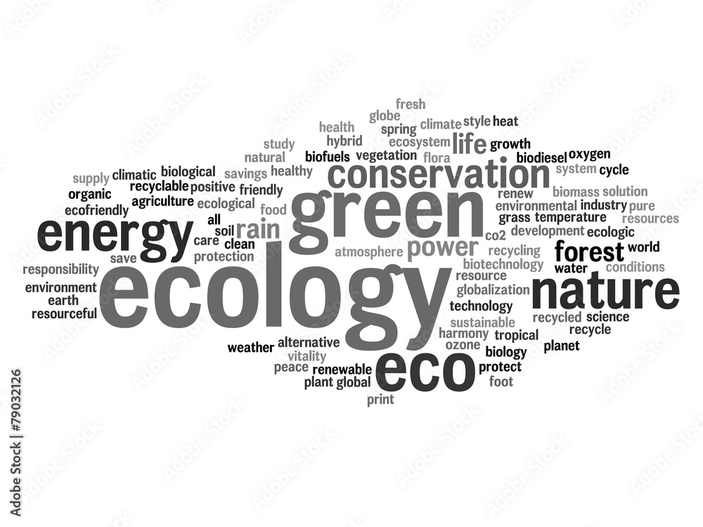 Conceptual ecology word cloud