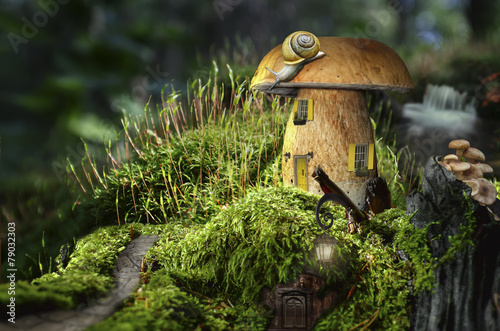 fairy house (mushroom)