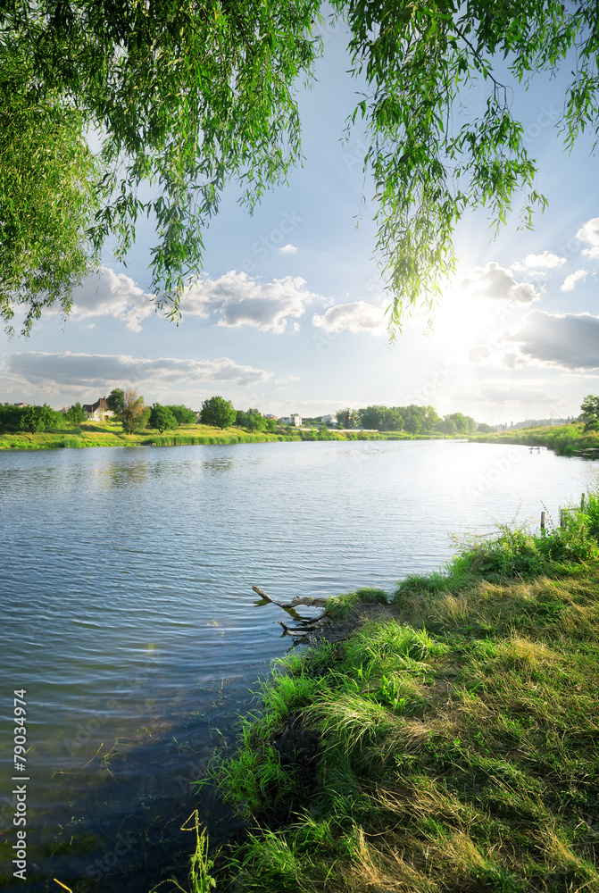 Grass near river