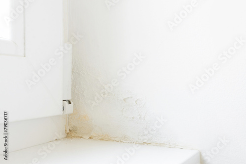 Quadro em tela damp in corner of window