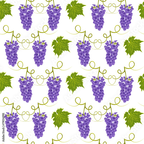 Seamless pattern grapes vector
