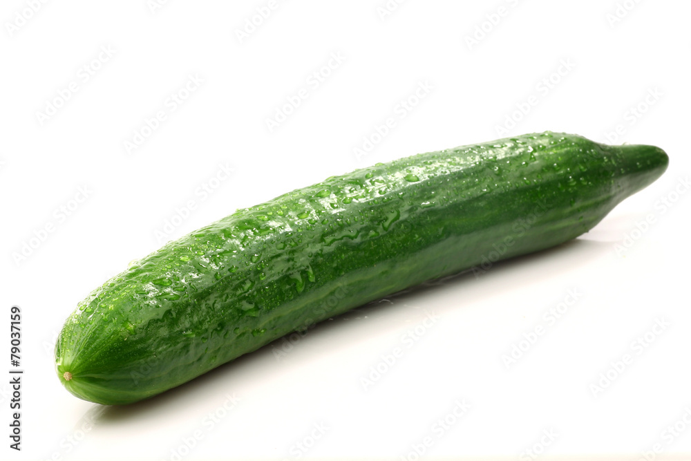 whole fresh cucumber on a white background whole fresh cucumber on a white background