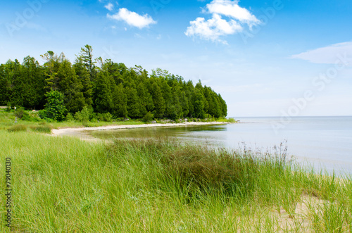 Tall grass with coast line