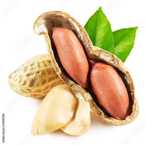 peanuts isolated on the white background