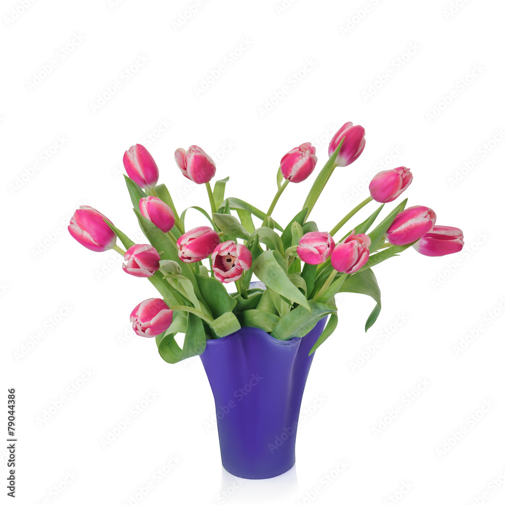 custom made wallpaper toronto digitalfresh tulips in vase, isolated on white background
